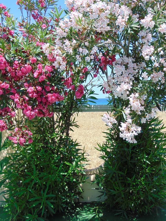 Nirvana Beach Hotel Θεολόγος Εξωτερικό φωτογραφία